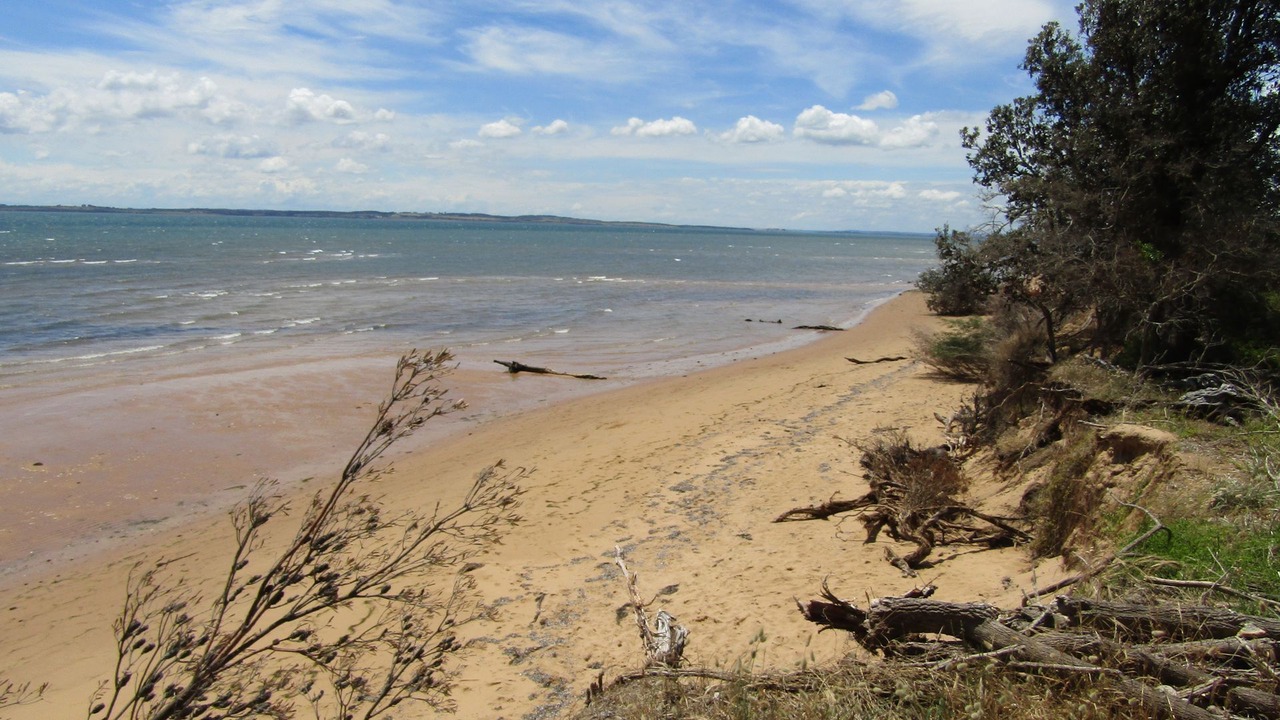 Photo of Others in Silverleaves