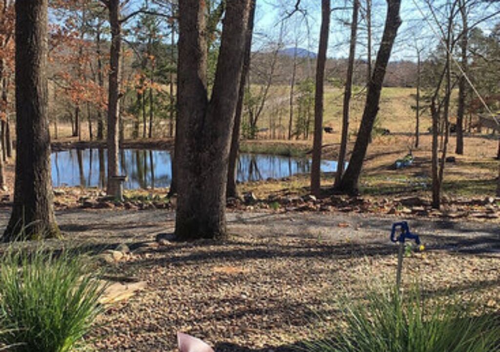 Photo of Others in Smithville