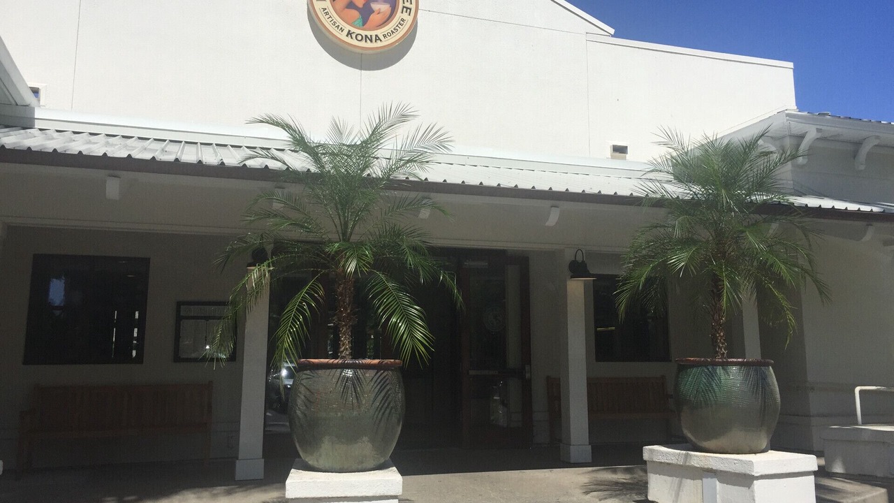 Photo of Others in Diamond Head - Kapahulu - St. Louis