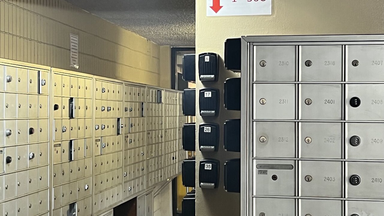 Photo of Others in Diamond Head - Kapahulu - St. Louis