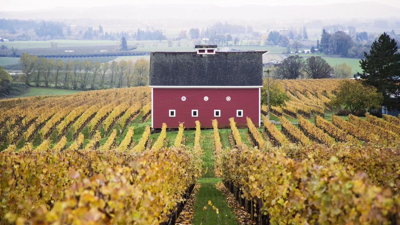 Photo of Outdoor in Carlton