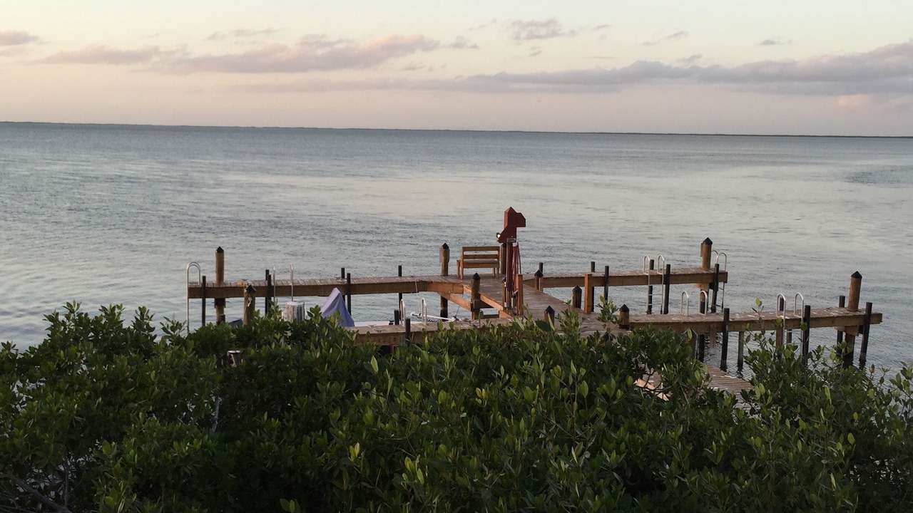 Photo of Others in Cross Key Waterways