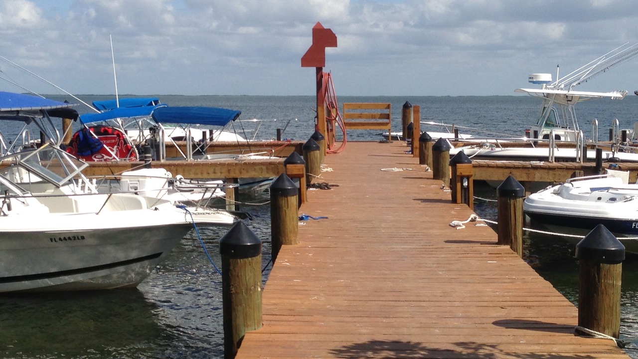 Photo of Others in Cross Key Waterways