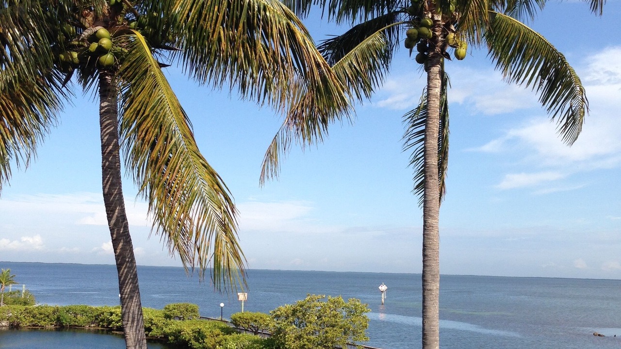Photo of Patio Balcony in Cross Key Waterways