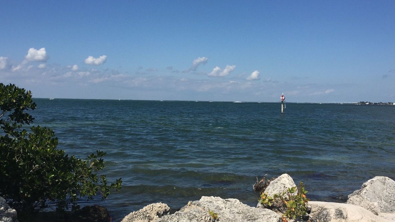 Photo of Others in Cross Key Waterways