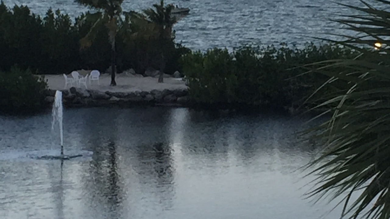 Photo of Others in Cross Key Waterways