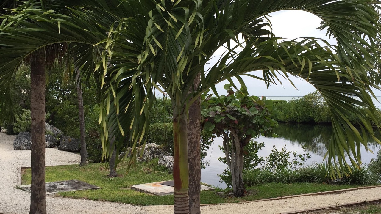 Photo of Others in Cross Key Waterways