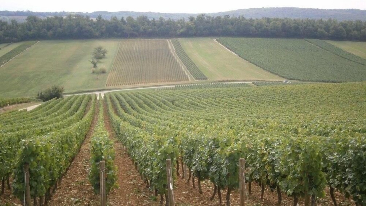 Photo of Outdoor in Sennecey-le-Grand