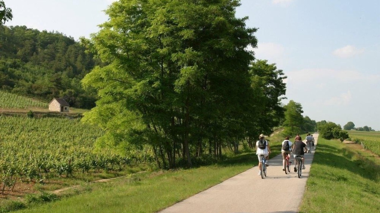 Photo of Outdoor in Sennecey-le-Grand