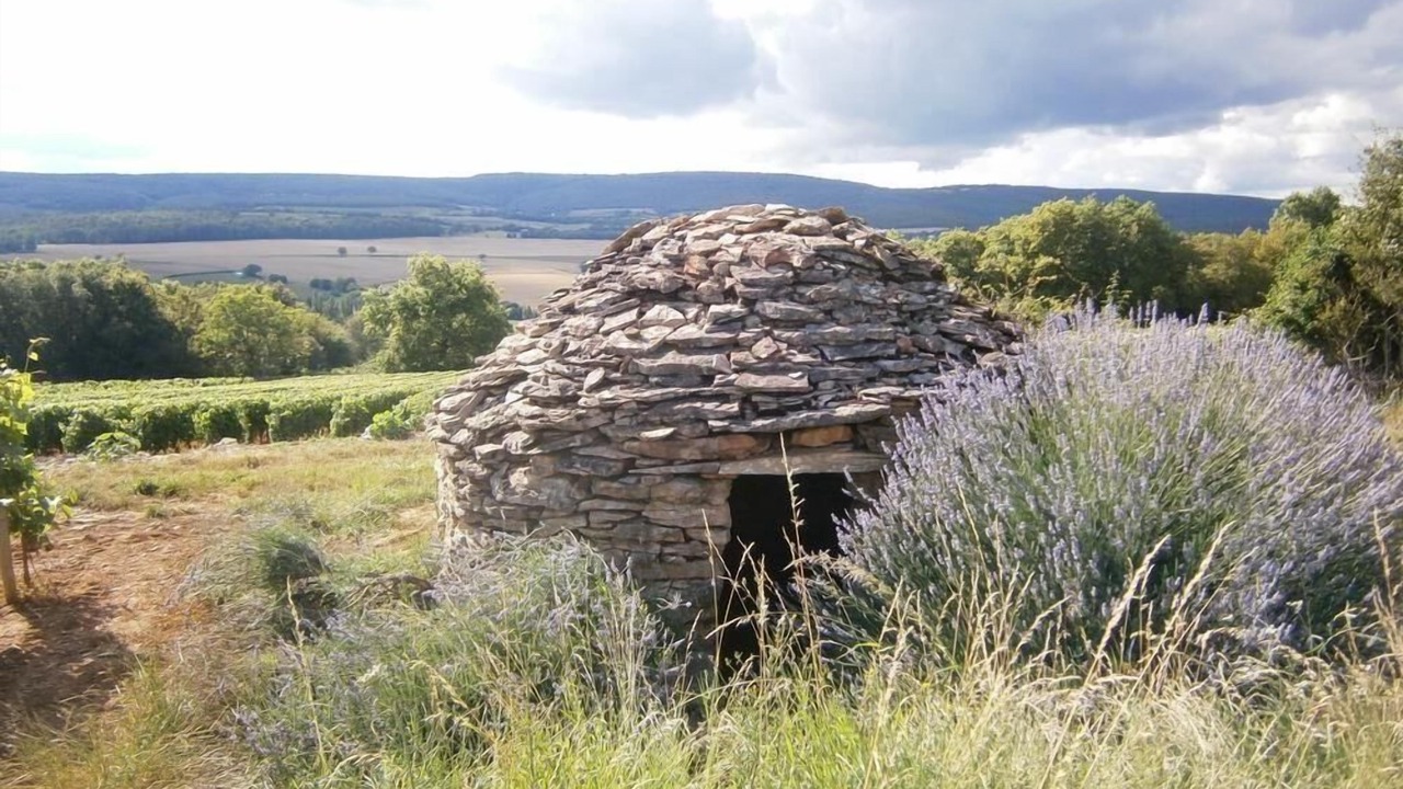 Photo of Outdoor in Sennecey-le-Grand