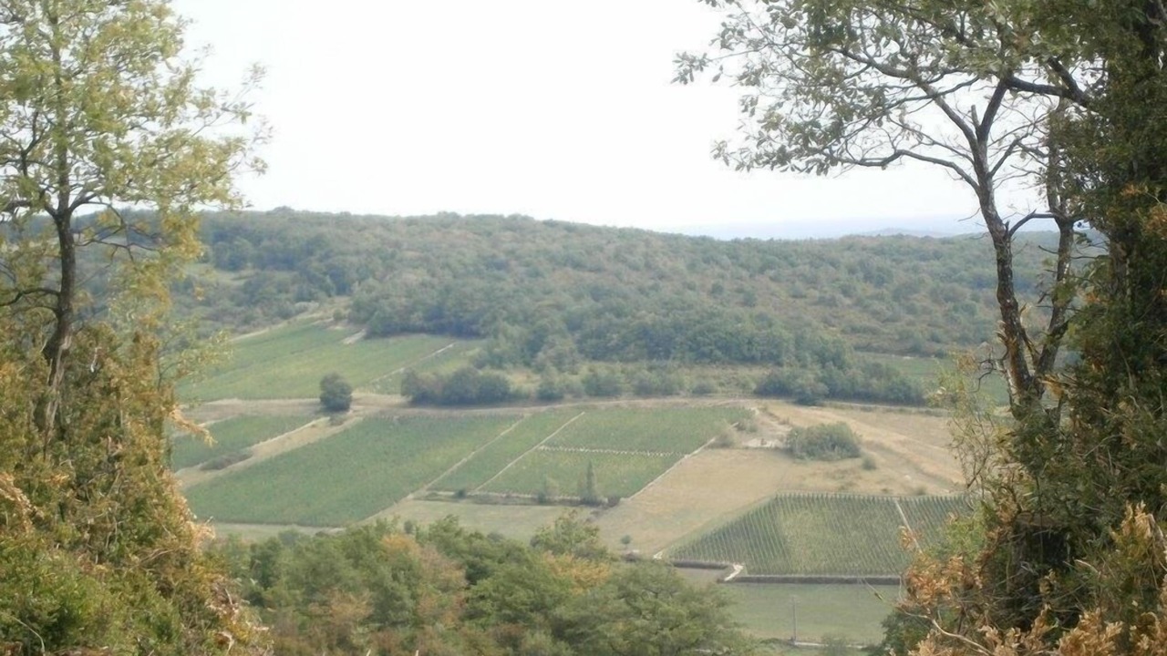 Photo of Outdoor in Sennecey-le-Grand