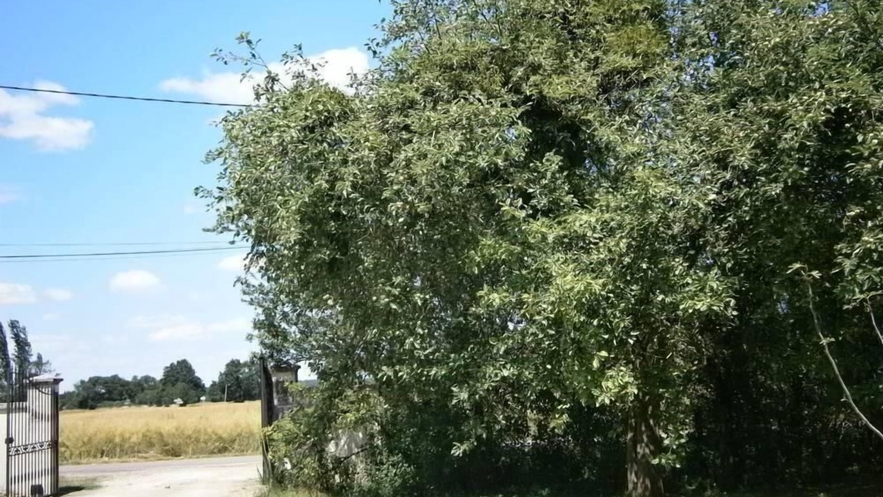 Photo of Outdoor in Sennecey-le-Grand