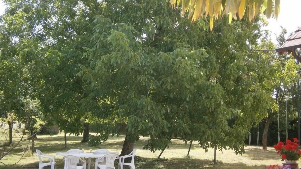 Photo of Outdoor in Sennecey-le-Grand