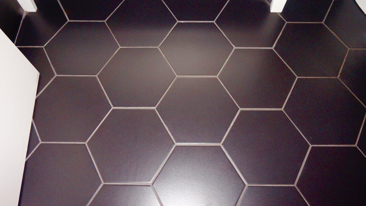 Photo of Others in Rogers Park