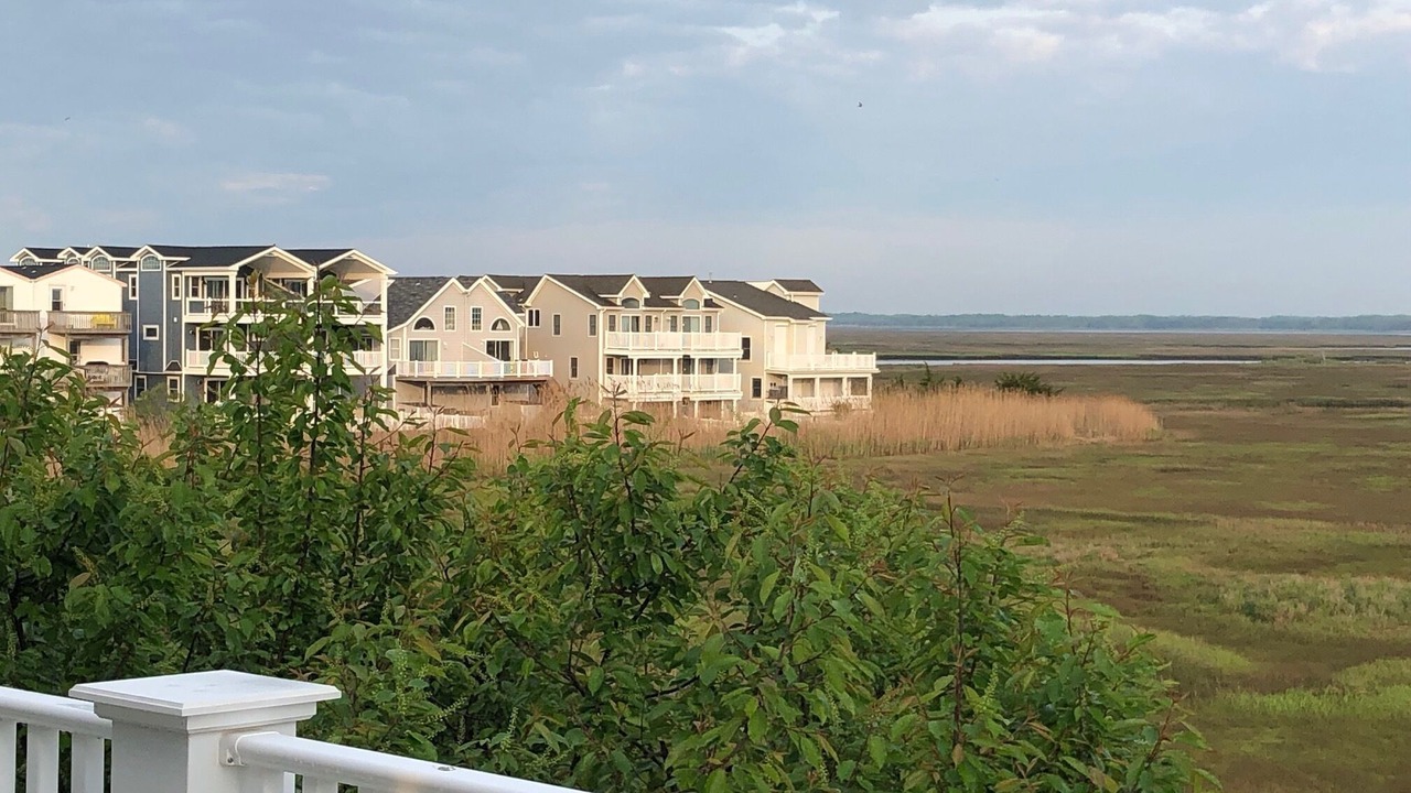 Photo of Outdoor in Sea Isle City