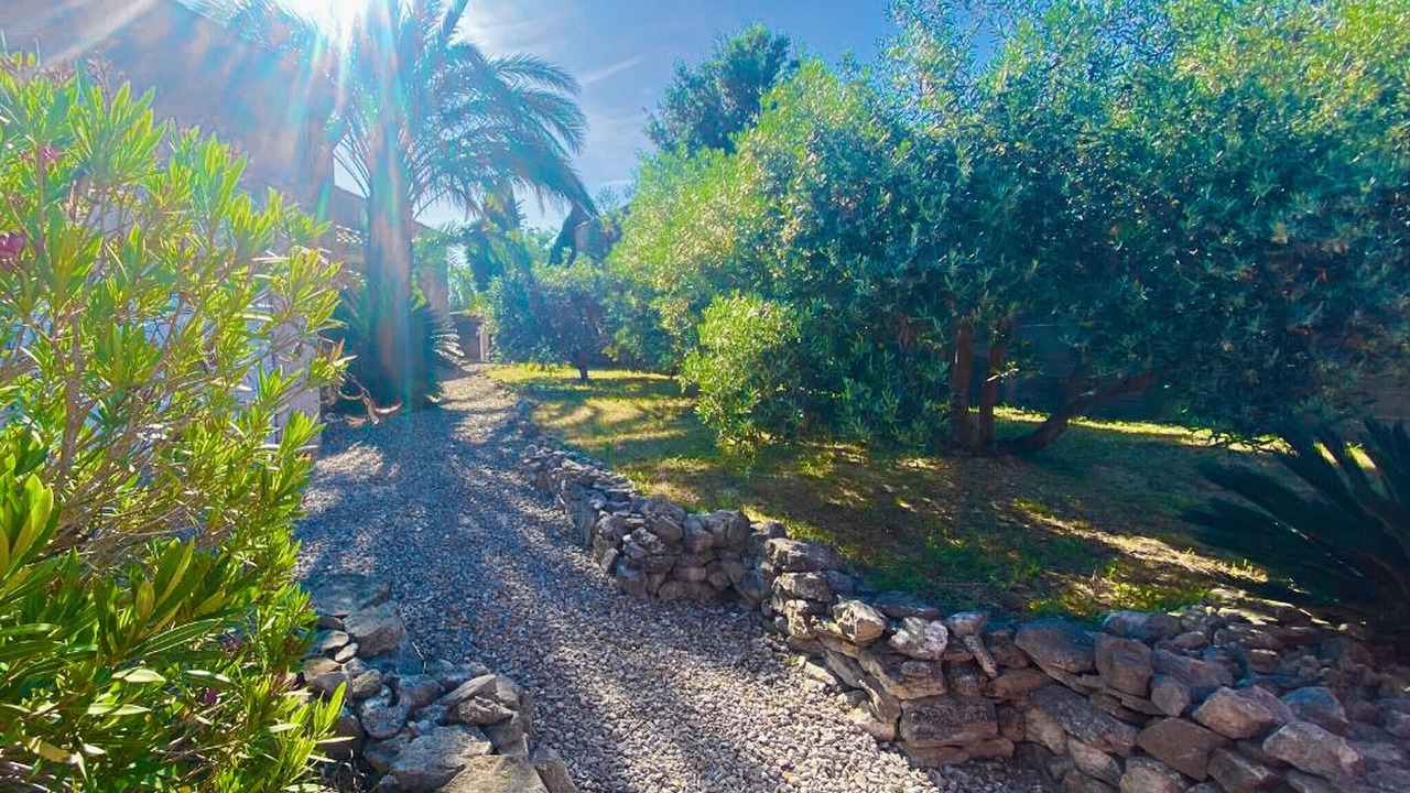 Photo of Others in Quarante