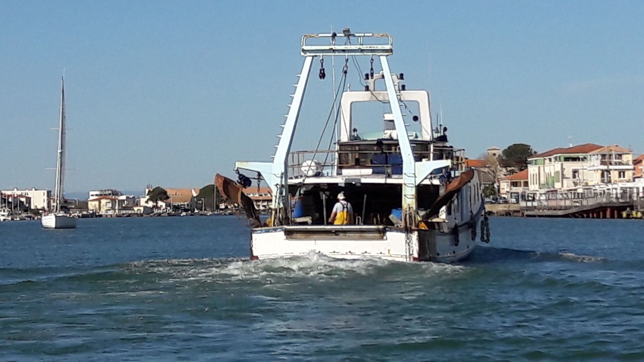 Photo of Others in Le Grau-dʼAgde