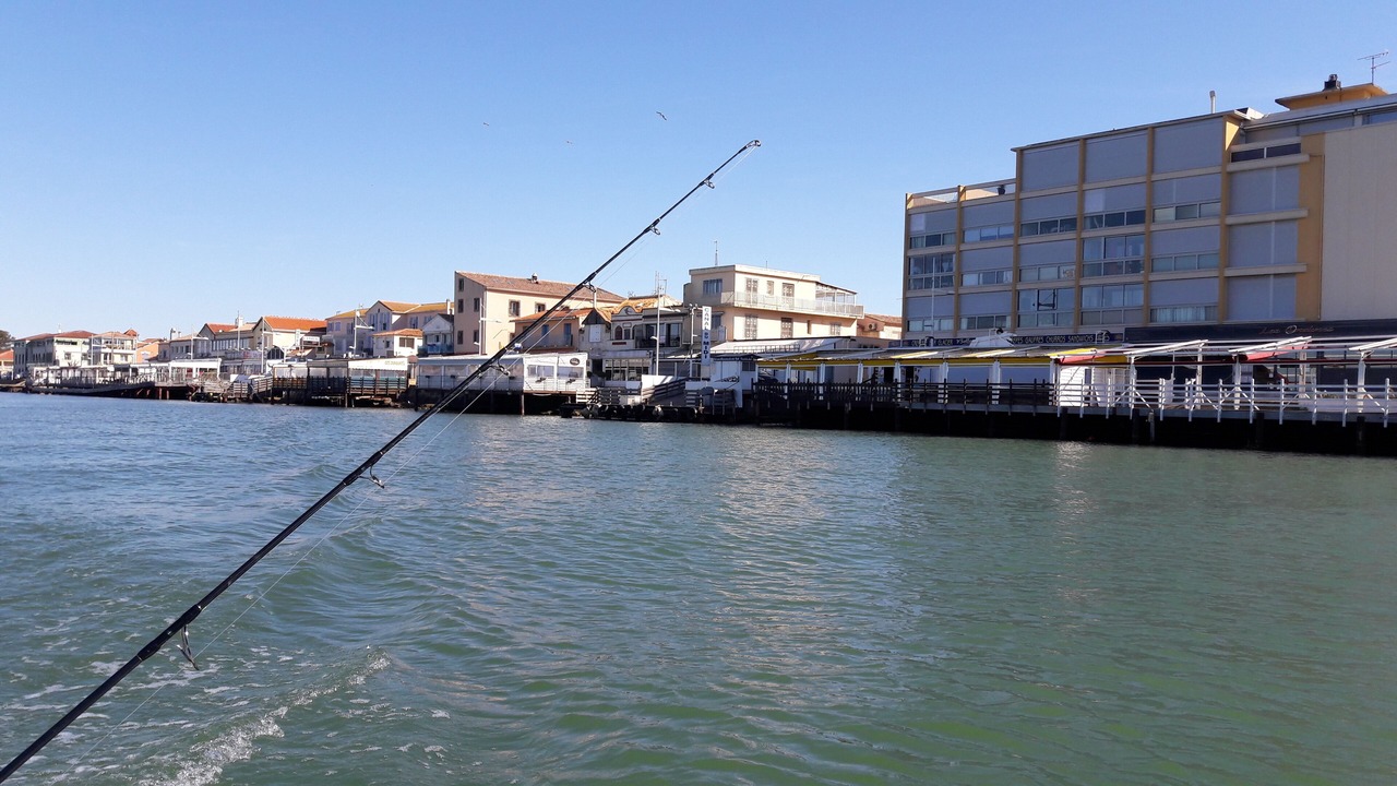 Photo of Others in Le Grau-dʼAgde