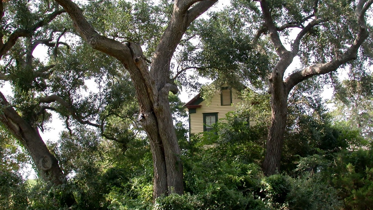 Photo of Outdoor in Brenham