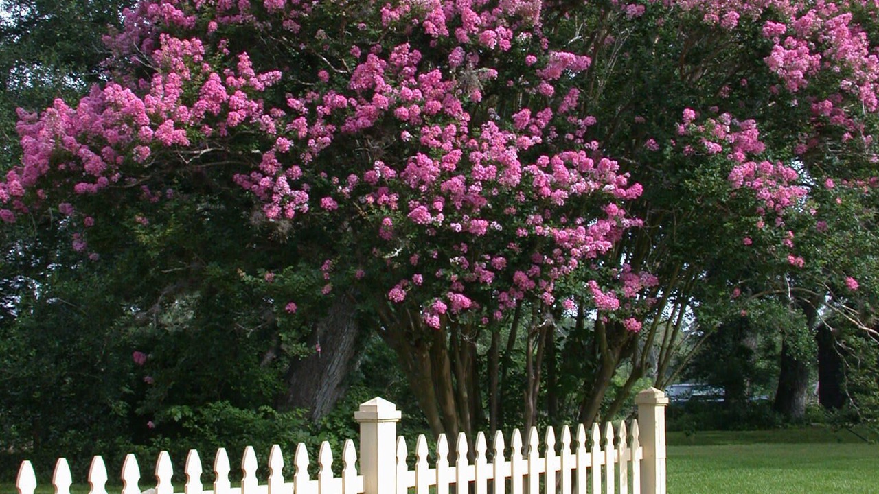 Photo of Outdoor in Brenham