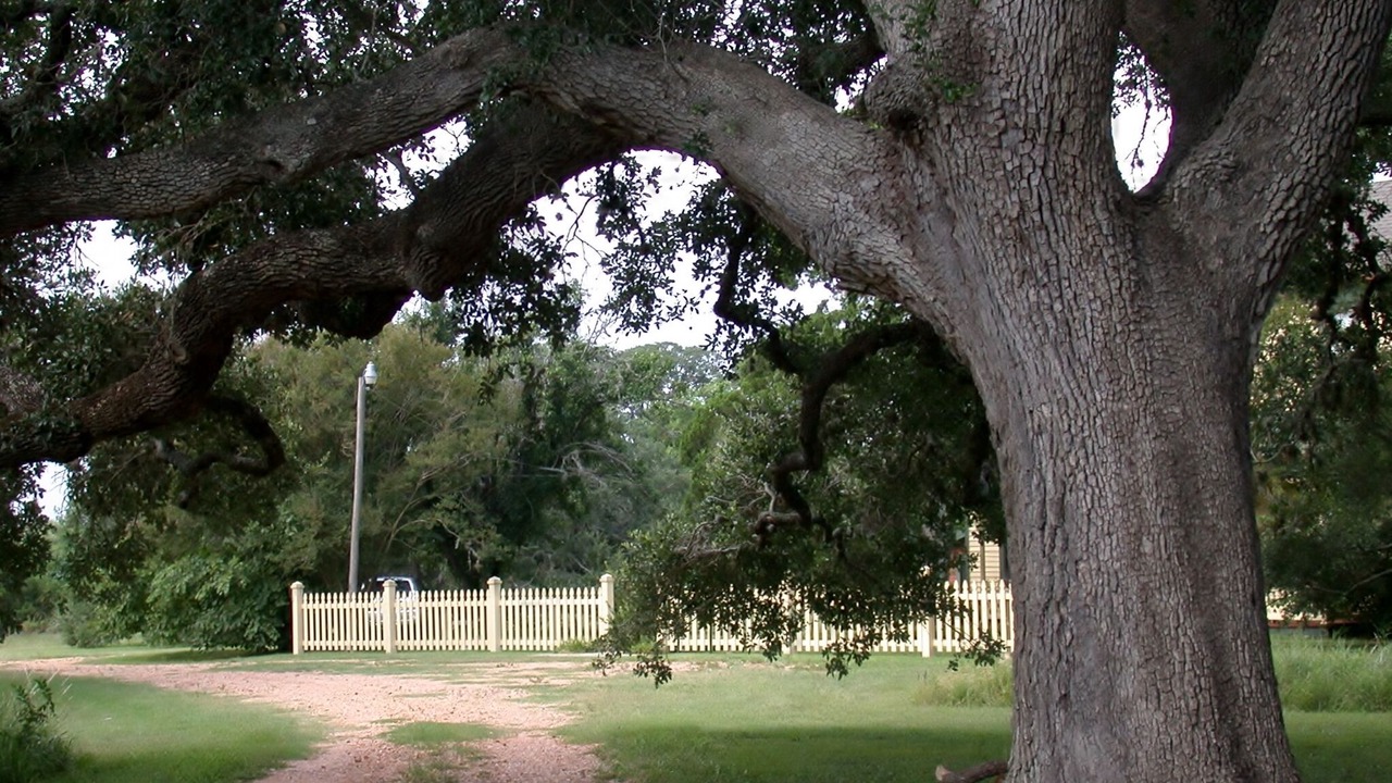 Photo of Outdoor in Brenham