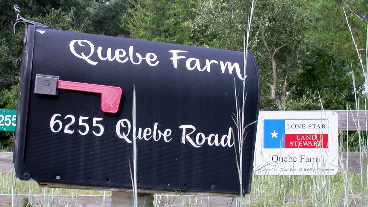 Photo of Outdoor in Brenham