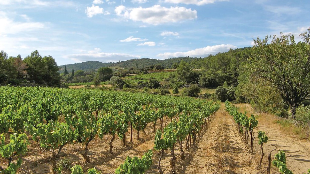 Photo of Others in Cesseras