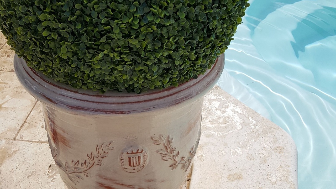 Photo of Outdoor in Tavel