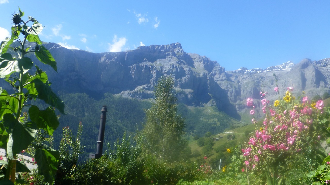 Photo of Outdoor in Albinen