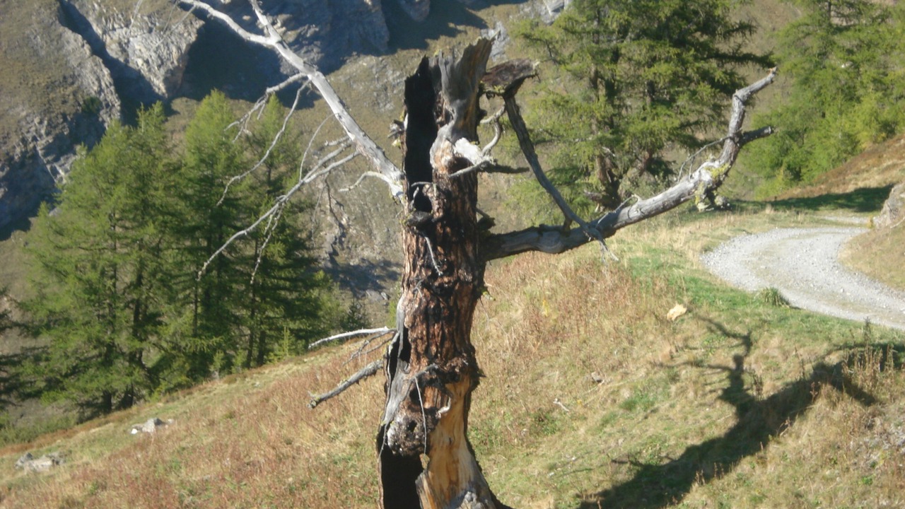 Photo of Outdoor in Albinen