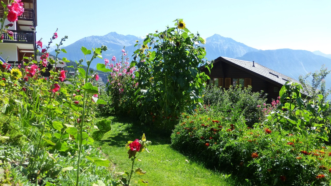 Photo of Outdoor in Albinen
