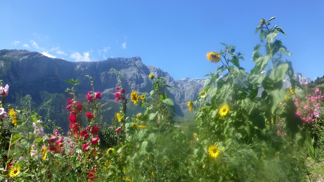 Photo of Outdoor in Albinen