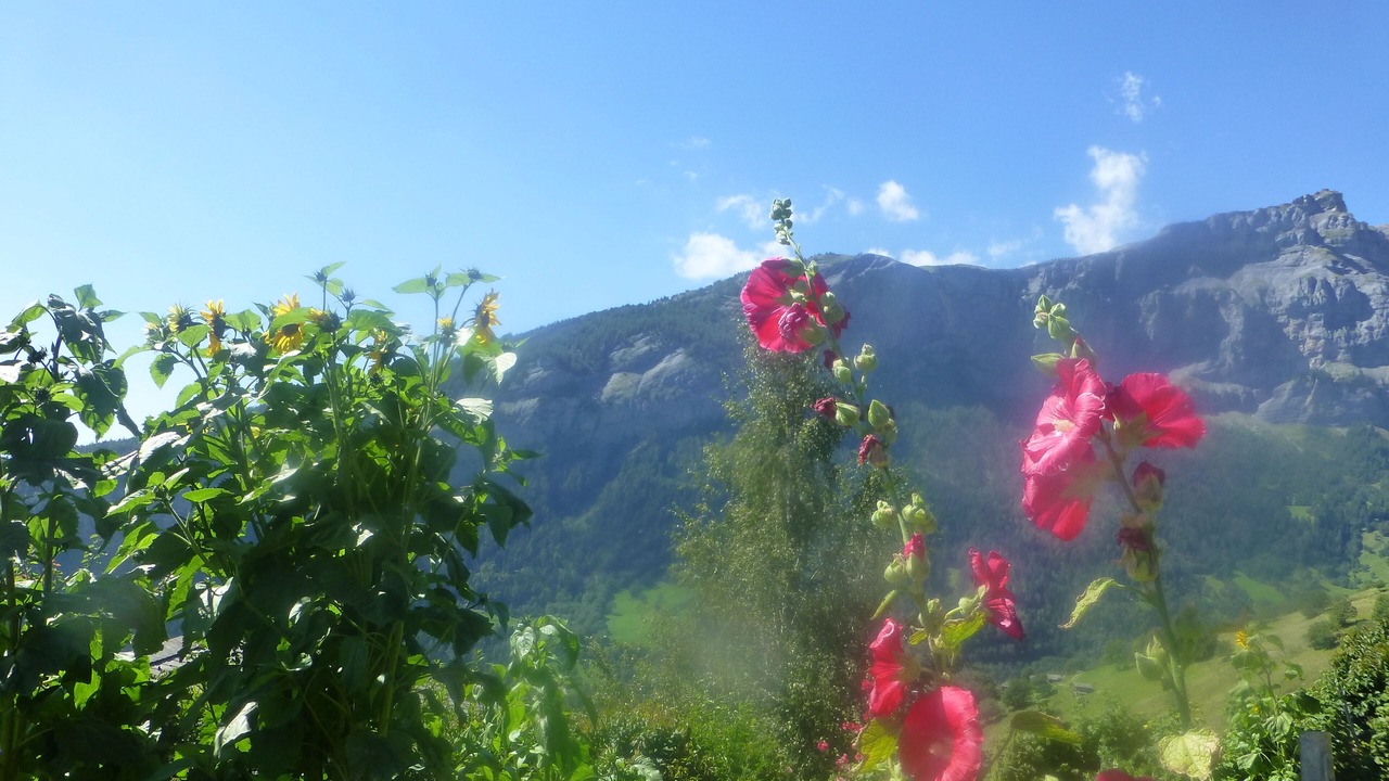 Photo of Outdoor in Albinen