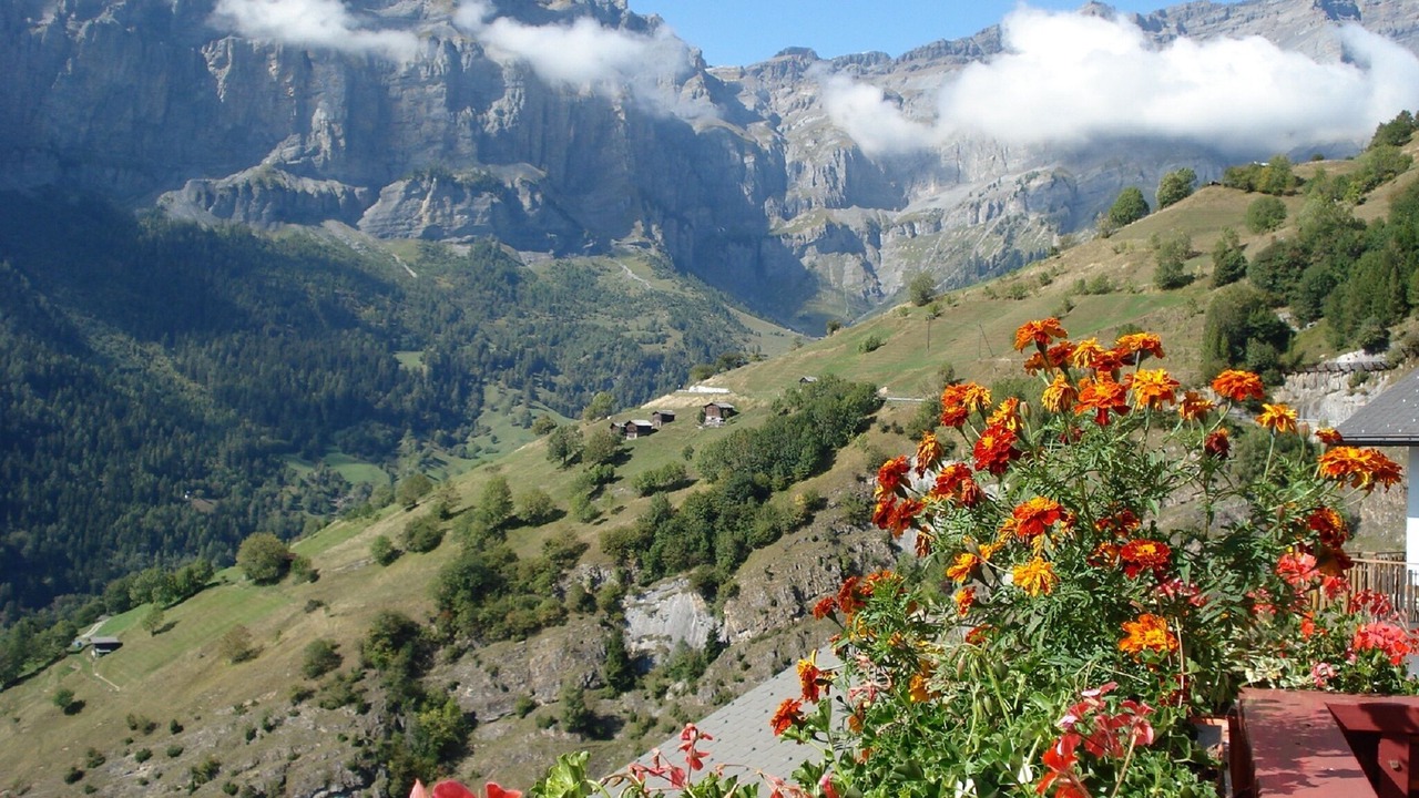 Photo of Outdoor in Albinen
