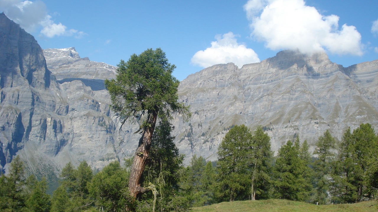 Photo of Others in Albinen