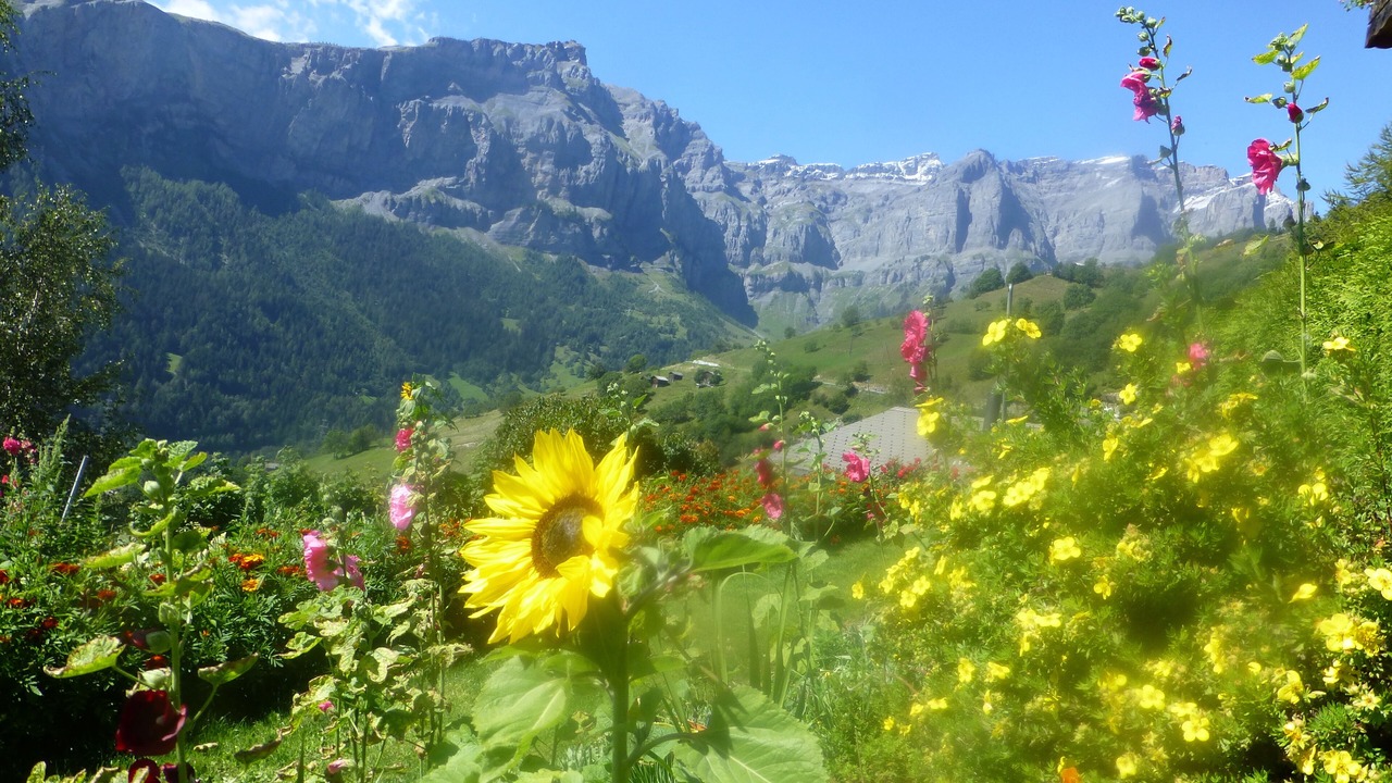 Photo of Outdoor in Albinen
