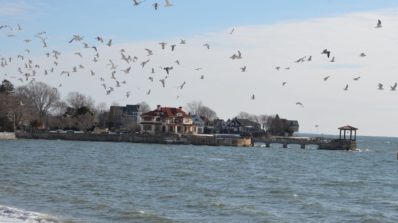 Photo of Others in Milford