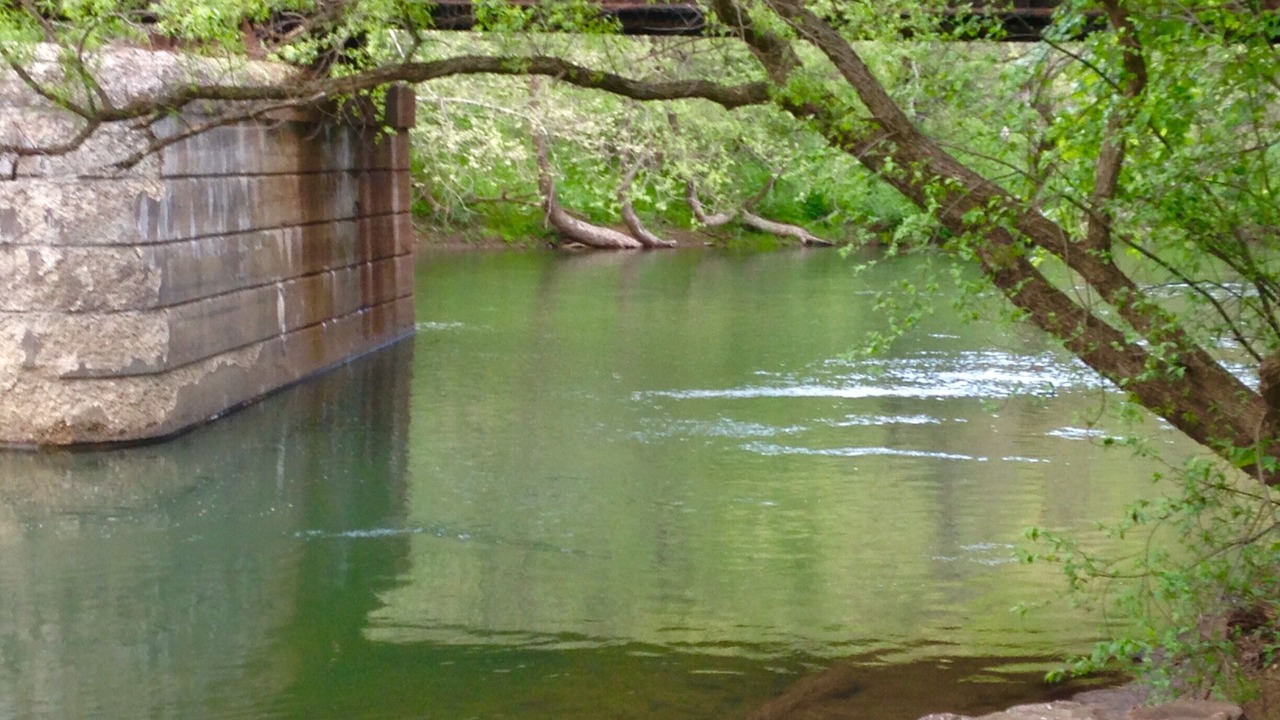 Photo of Others in Confluence