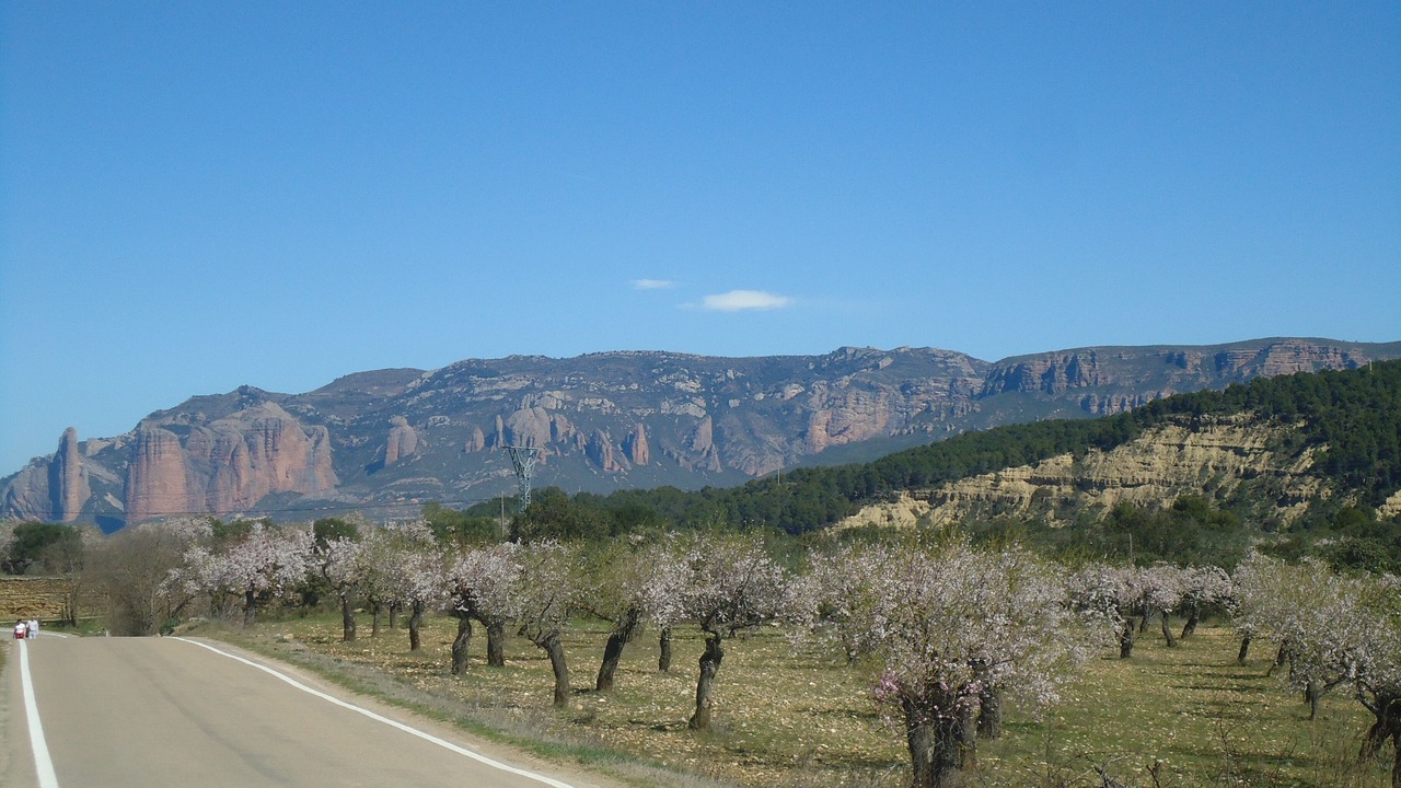 Photo of Others in Santa Eulalia de Gallego