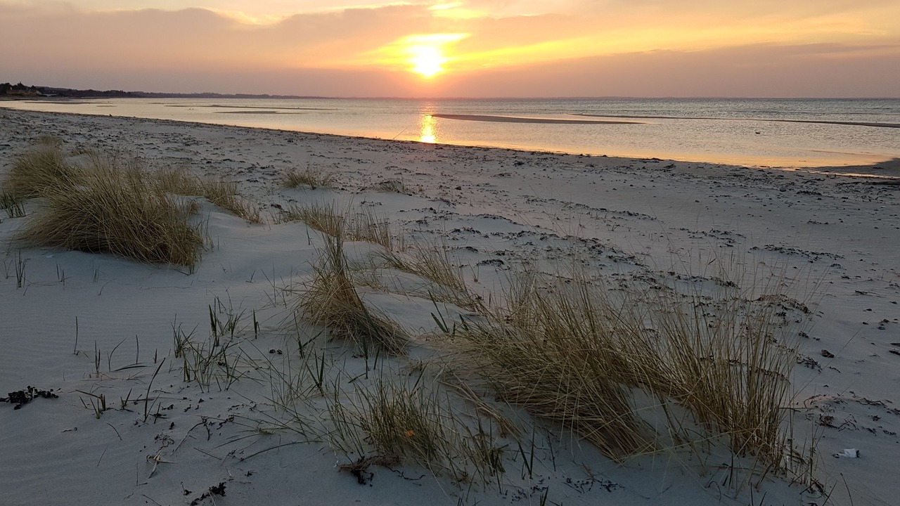 Photo of Others in Fjellerup Strand