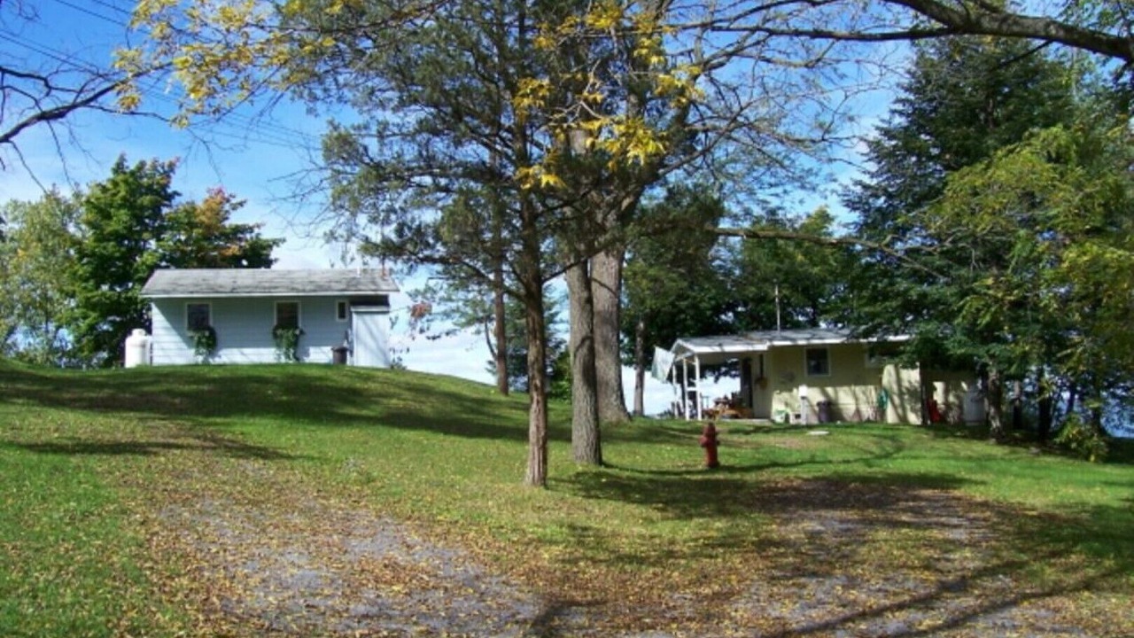 Photo of Others in Cayuga