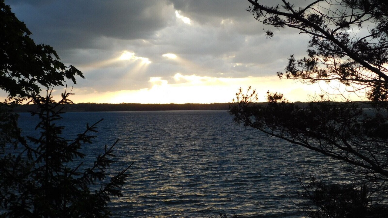 Photo of Others in Cayuga