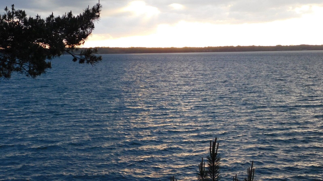 Photo of Others in Cayuga