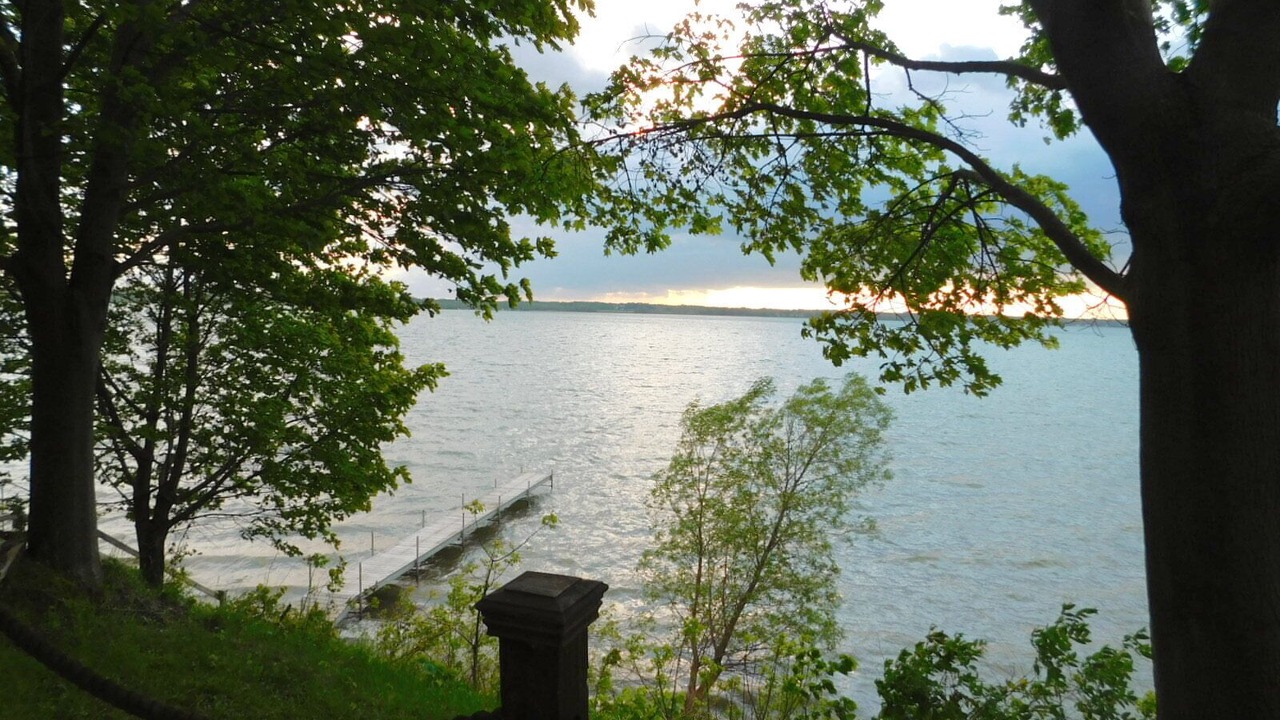 Photo of Others in Cayuga