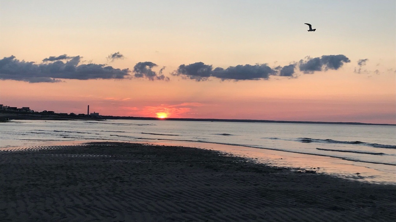 Photo of Others in East Sandwich