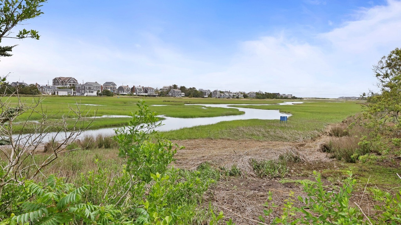 Photo of Others in East Sandwich