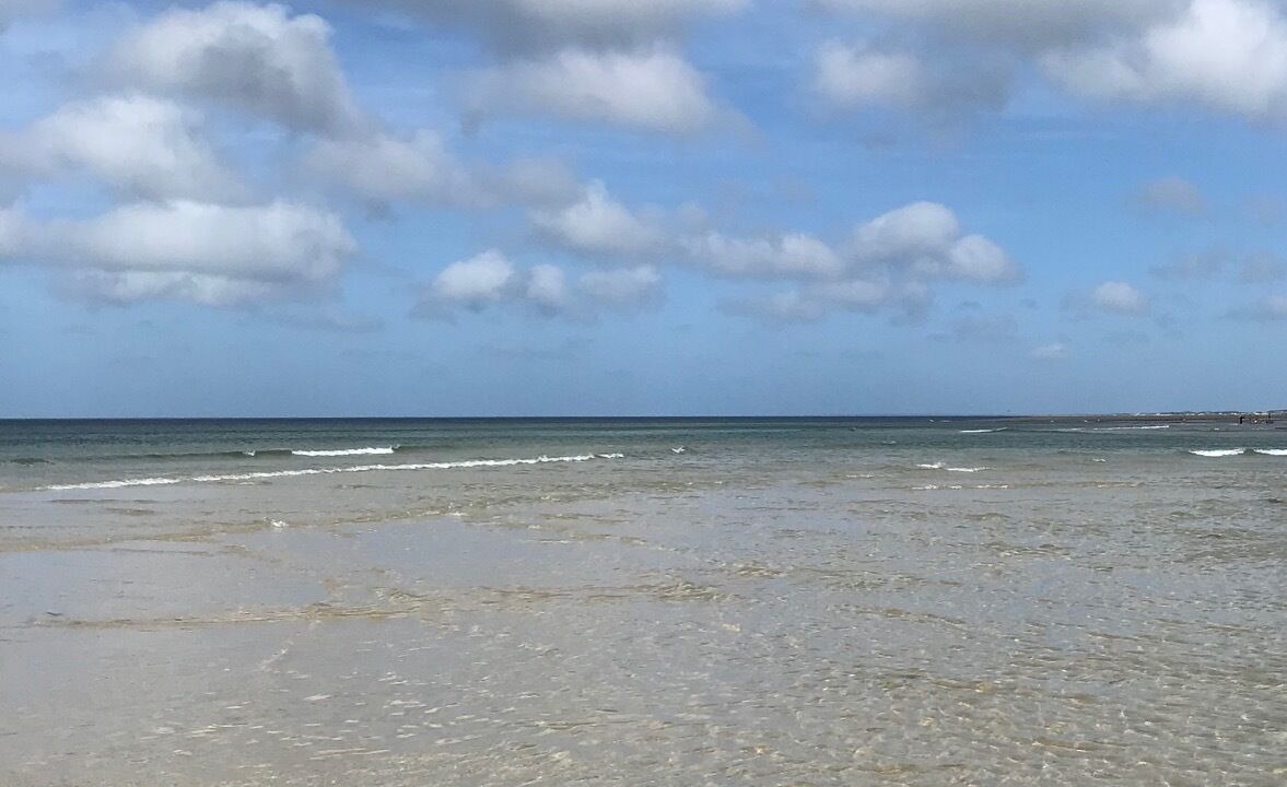 Photo of Others in East Sandwich