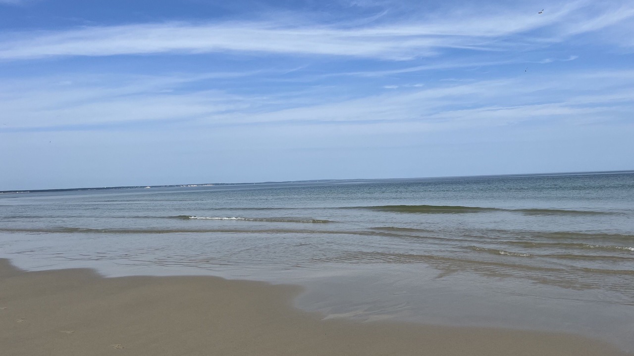 Photo of Others in East Sandwich