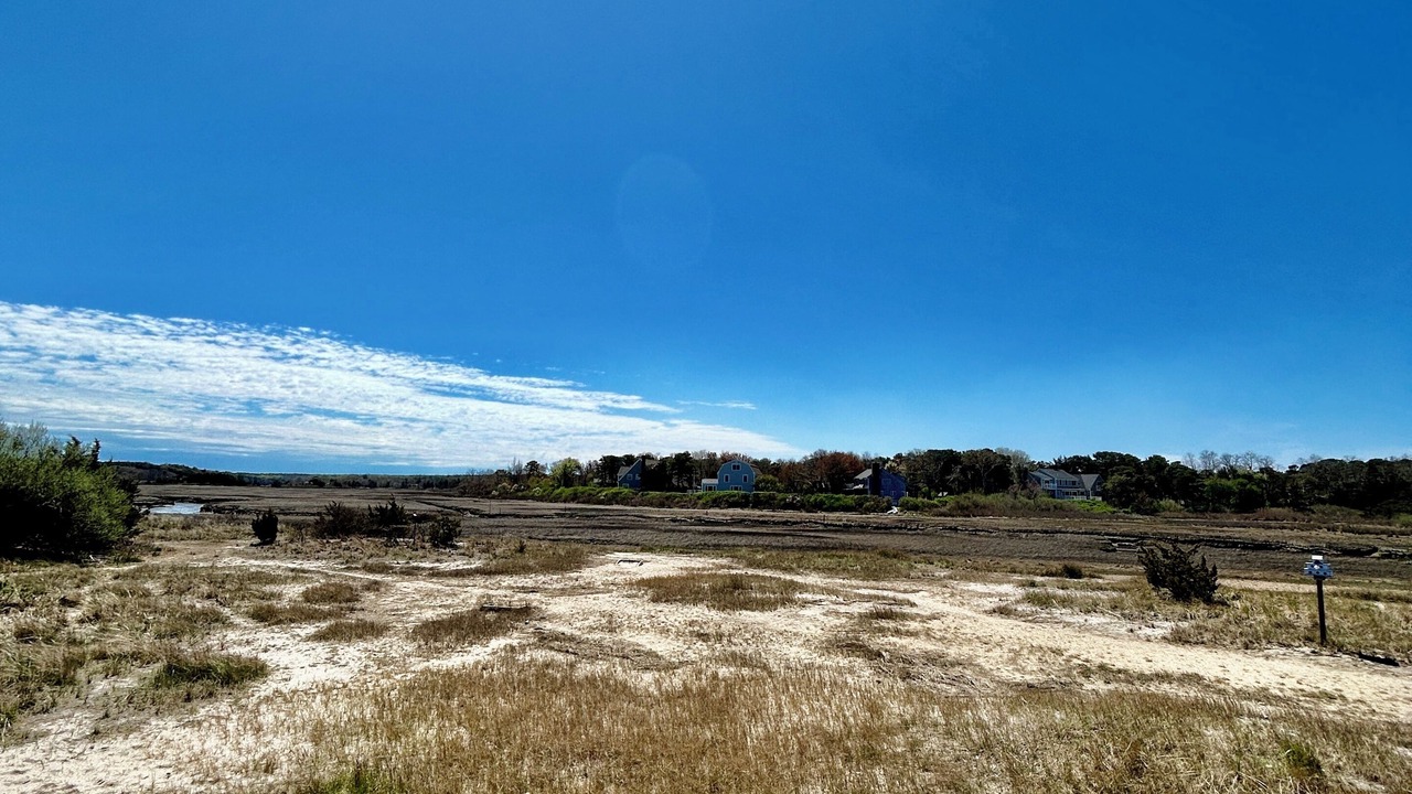 Photo of Others in East Sandwich