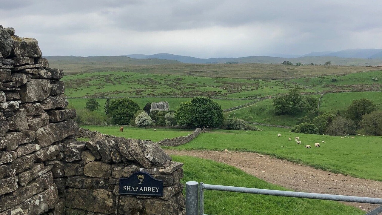 Photo of Others in Shap